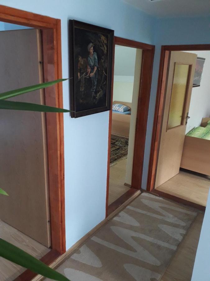Prenociste Vitas Bed & Breakfast Miljevina Exterior photo